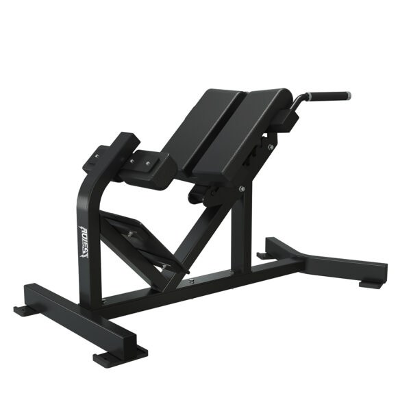 Roman chair hyperextension bench, model ALA-1657