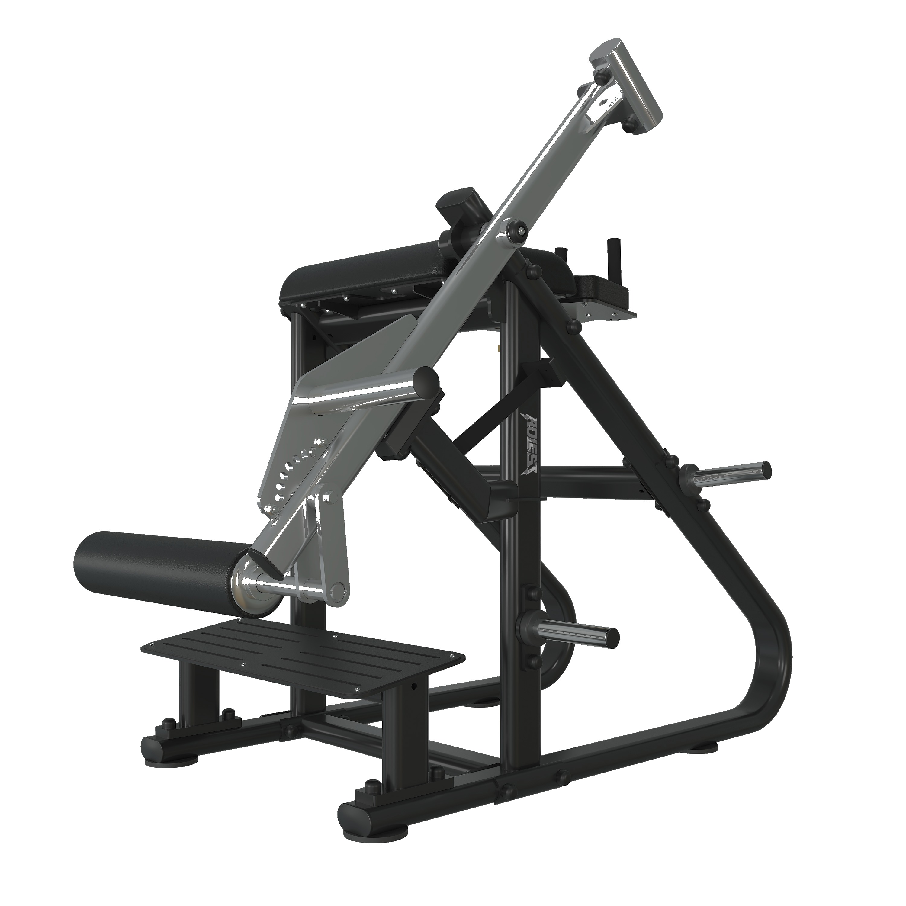 Back Leg Raise, commercial strength machine