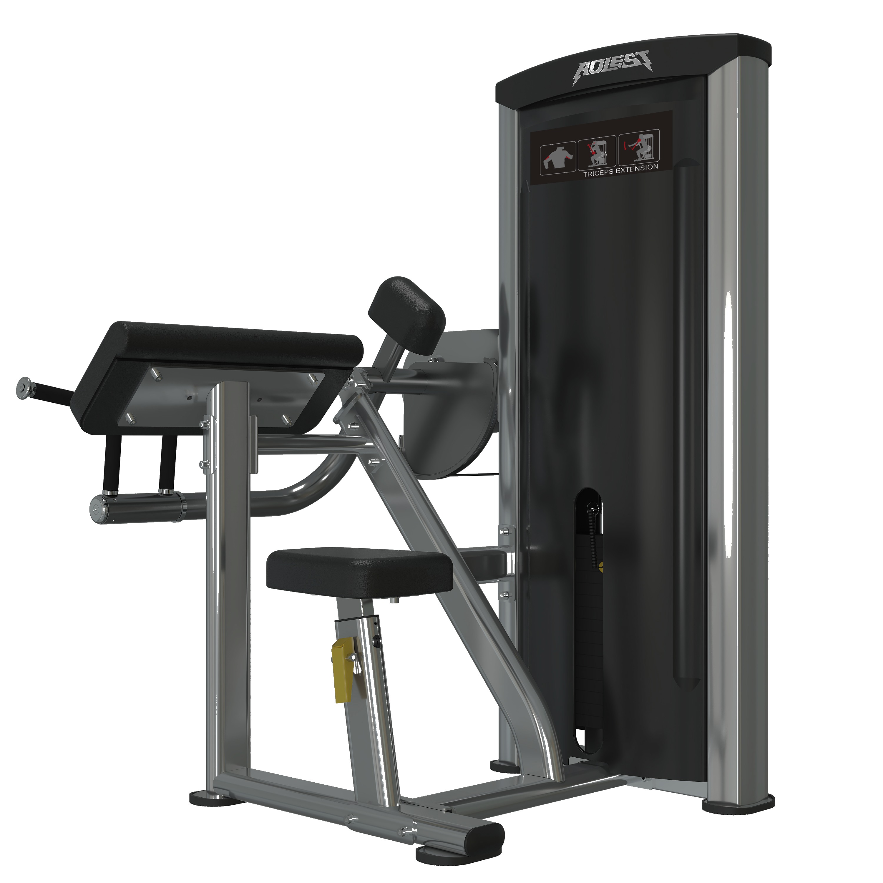 Selectorized biceps curl machine, commercial strength machine