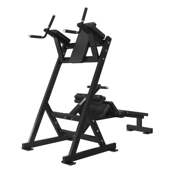 Dip, chin, and knee raise combo station, model ALA-1640