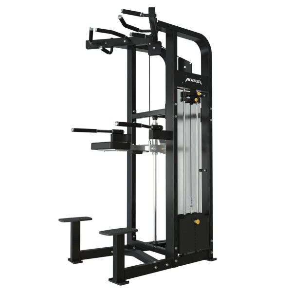 Selectorized assisted dip and chin-up machine, model ALA-4011