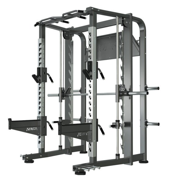 Power rack with integrated Smith machine, model ALC-2201
