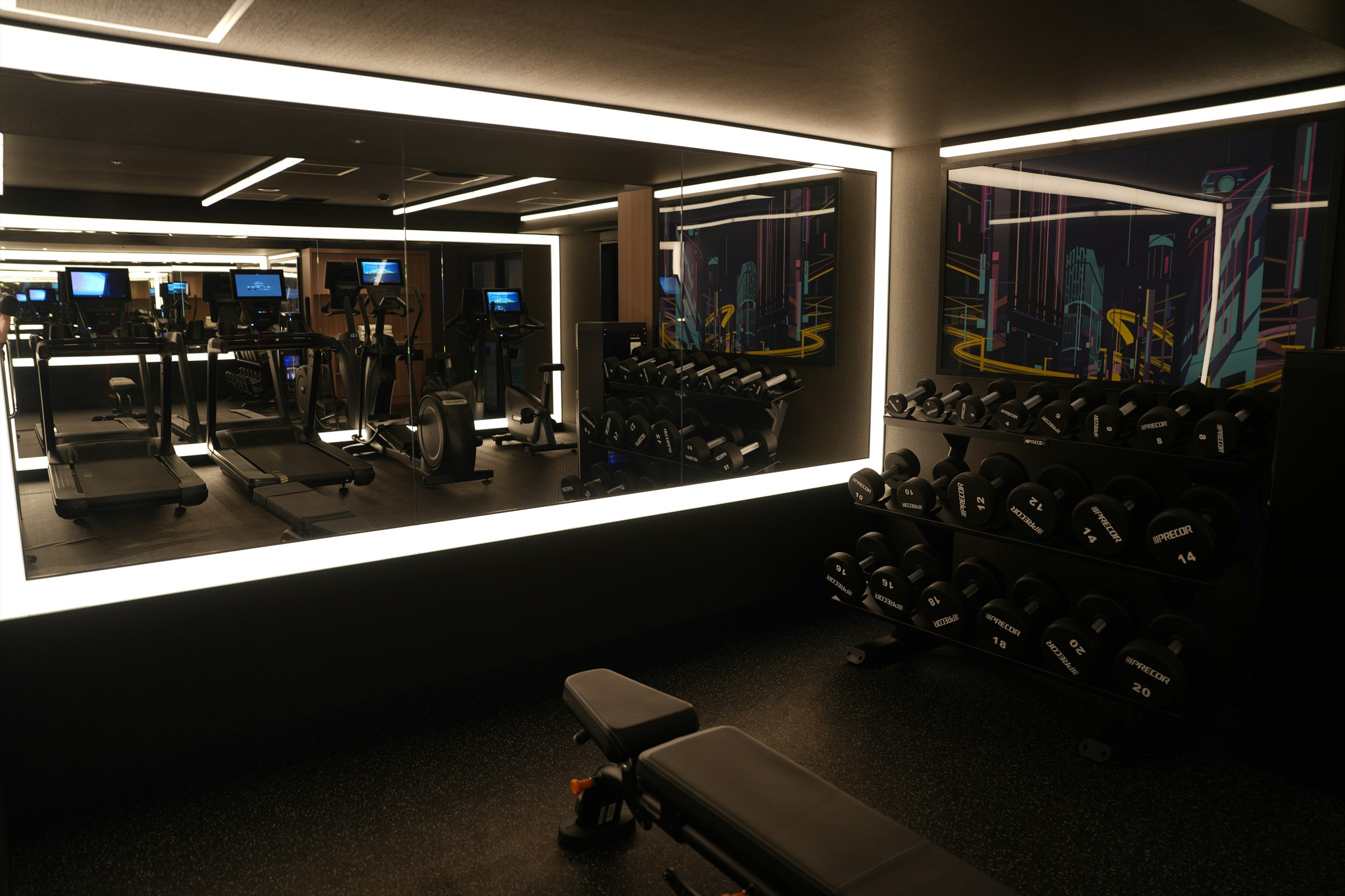 Luxury home gym interior — mirrored wall, dumbbell rack, treadmills