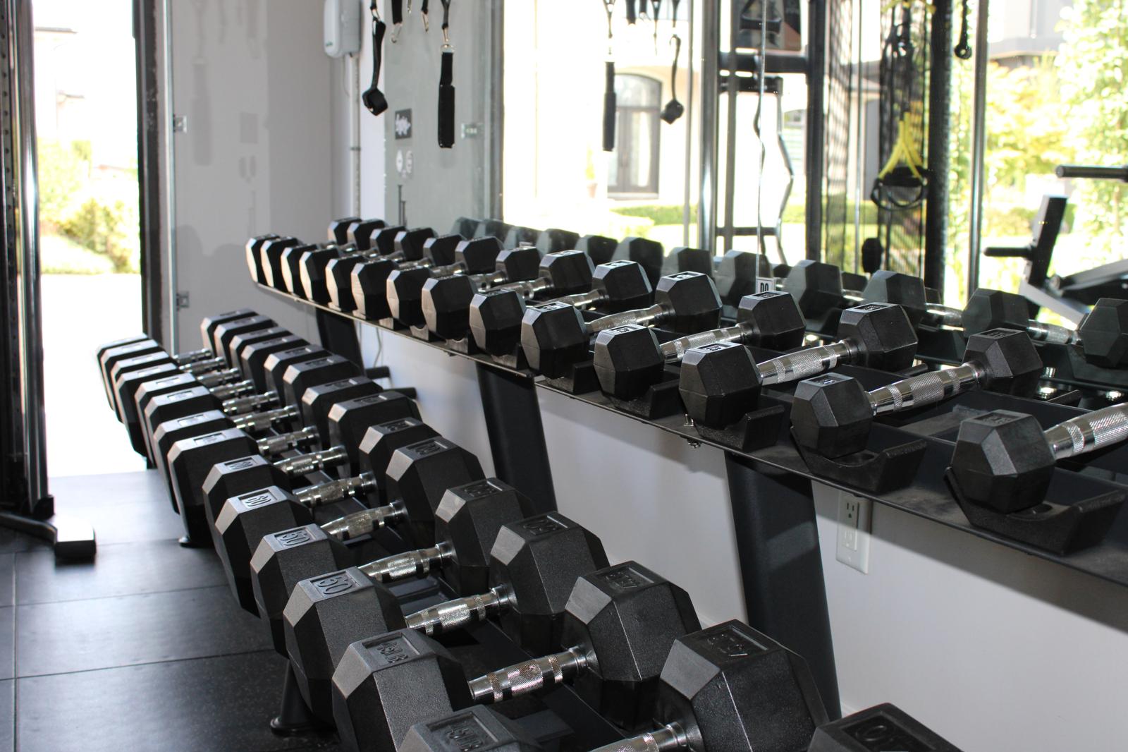 Full dumbbell rack along the wall with the garage door open — Abbotsford garage gym