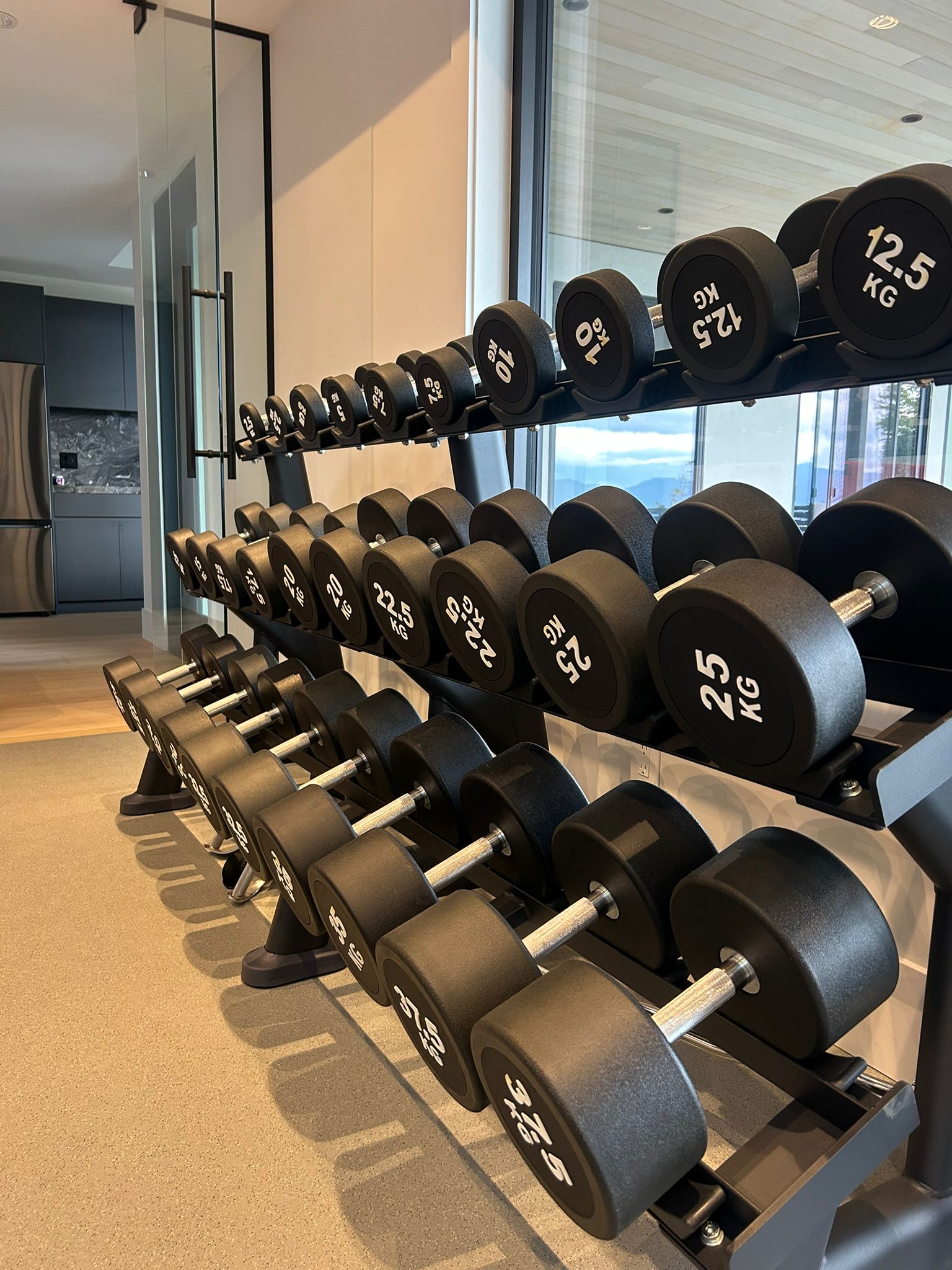 Three-tier dumbbell rack with full set of round rubber-coated KG dumbbells, custom indoor home gym in Abbotsford, BC