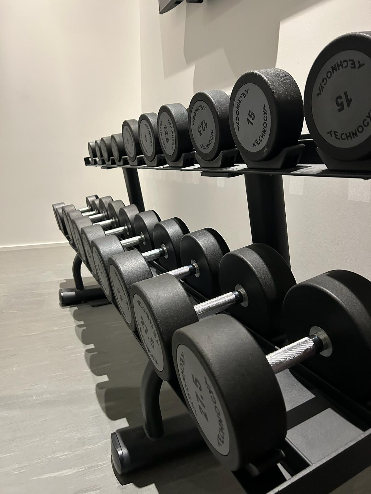Two-tier Technogym rubber dumbbell rack, 5 to 27.5 kg pairs, in the Kelowna home gym.